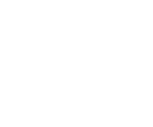 DHL - Supporter Logo