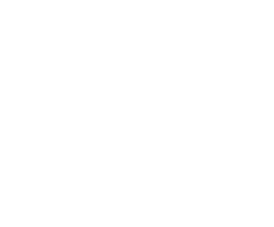 NOW Gallery - Partner Logo