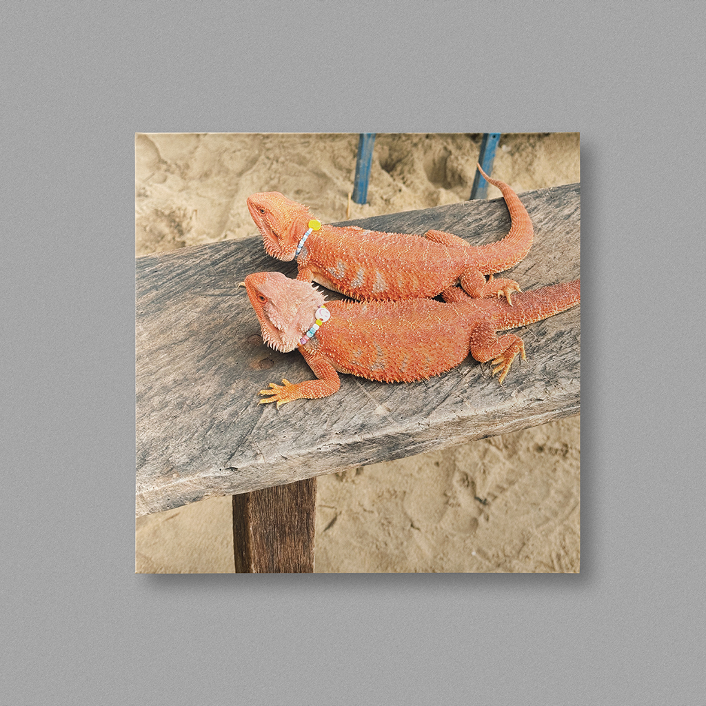 Gallery entry #010