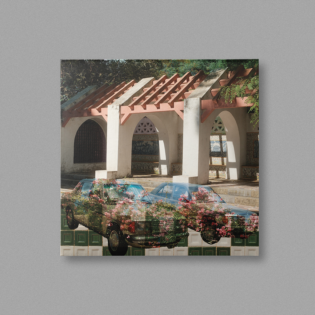 Gallery entry #024
